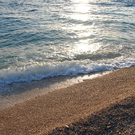 Navis Vodice
